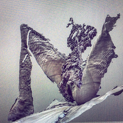 Interrupted 3D scan by artist Paul Coombs